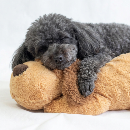 Juguete relajante con latido de corazón para perros – Ayuda para la ansiedad y el sueño